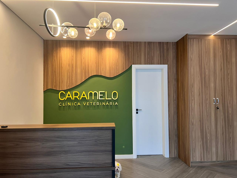 Foto da capa de Clínica Veterinária Caramelo 24HRS